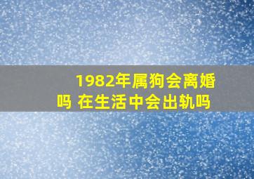 1982年属狗会离婚吗 在生活中会出轨吗